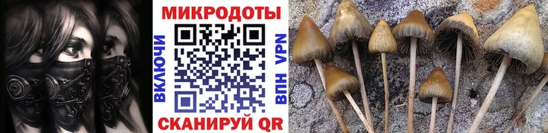 наркота  даркнет телеграм  Псилоцибиновые грибы Psilocybe  Усть-Илимск 