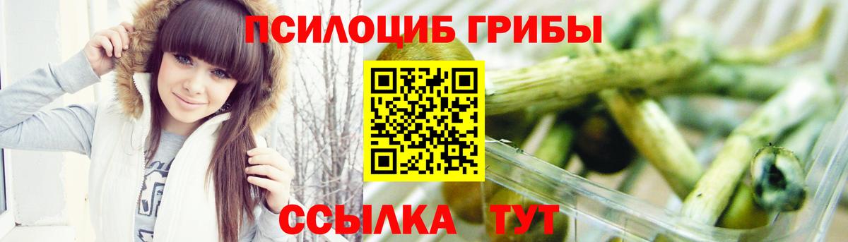 Галлюциногенные грибы Cubensis Усть-Илимск